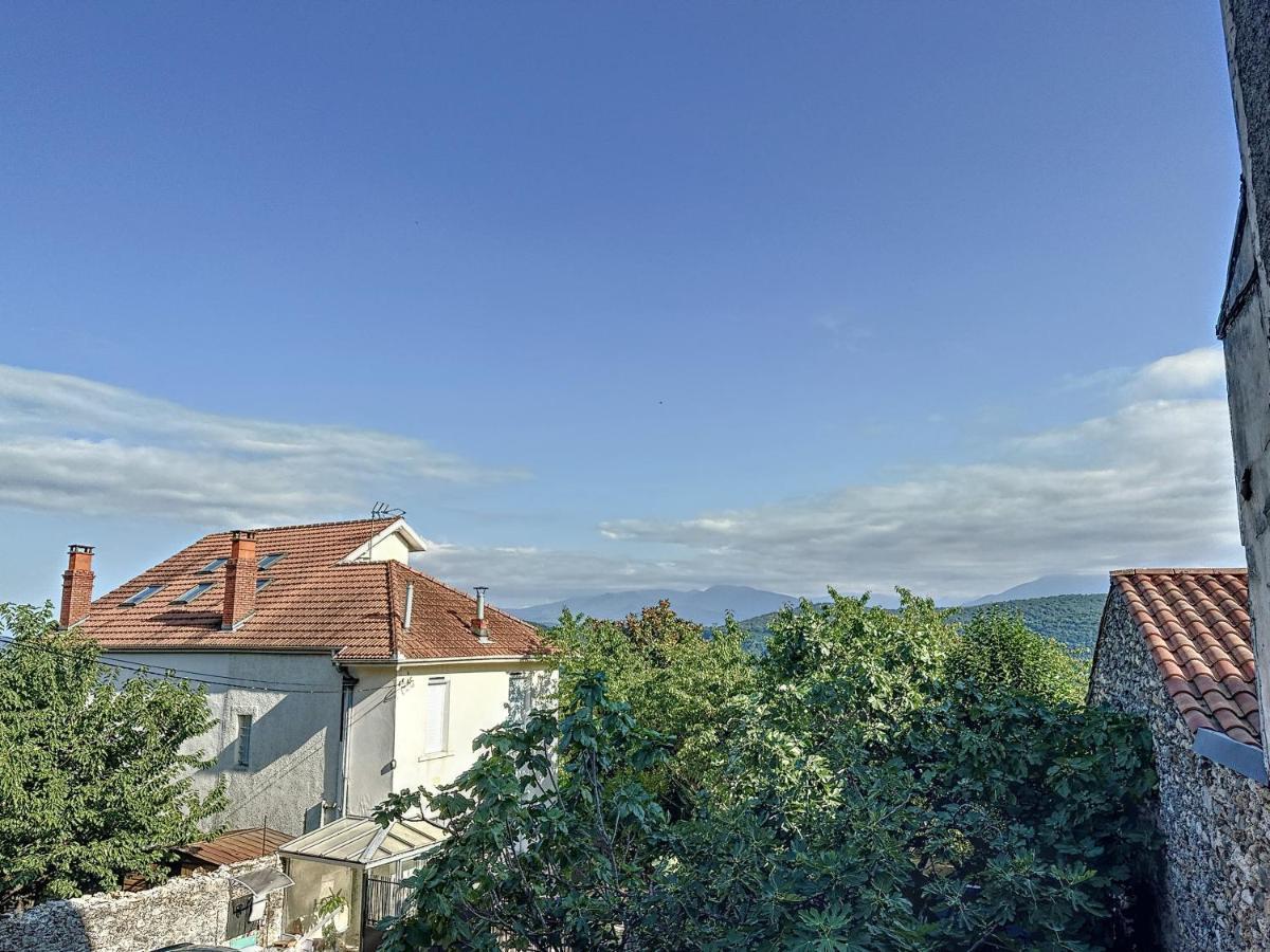 Maison Vue Pyrenees Centre Ville Saint Gaudens Extérieur photo